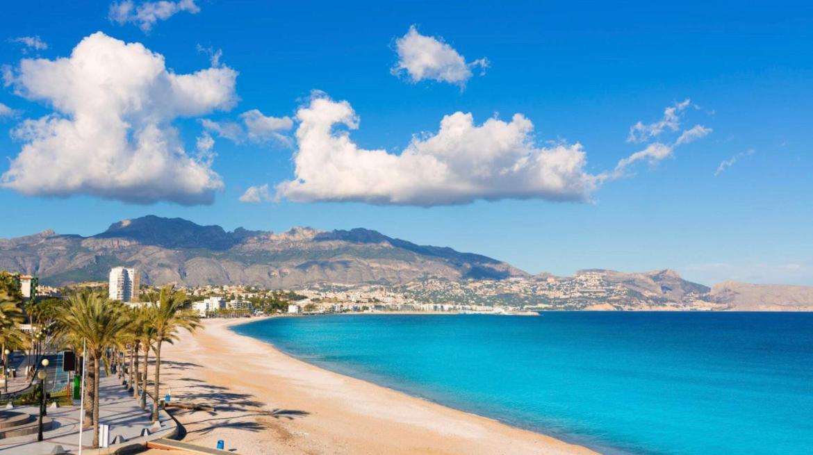 Centrally-Located, Spacious Flat At Historic Centre & Short Walk To Beach Alicante Dış mekan fotoğraf
