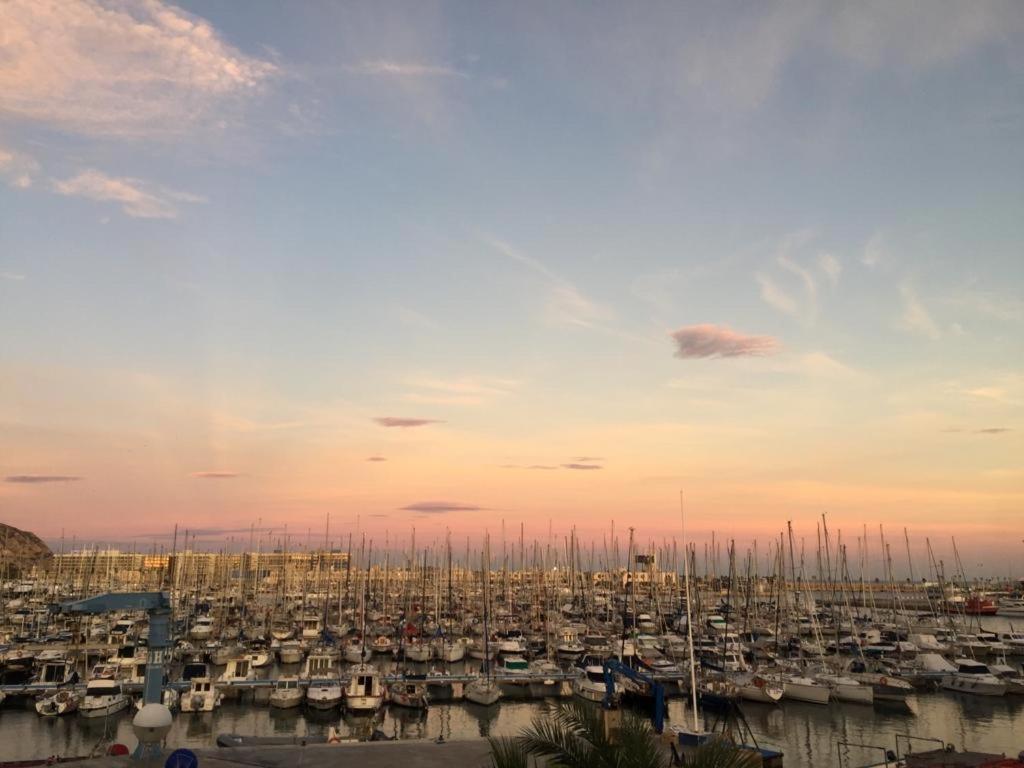 Centrally-Located, Spacious Flat At Historic Centre & Short Walk To Beach Alicante Dış mekan fotoğraf